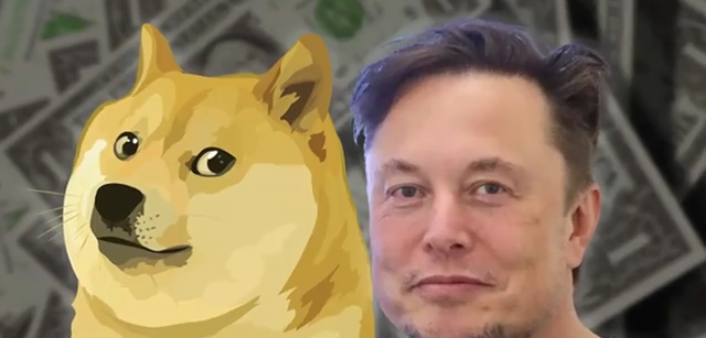 Anjing boleh mengukur kuantiti